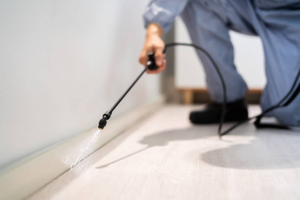 Licensed Wasp Removal service in Arab, AL - Show Me Pest Control