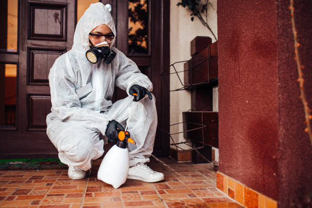 Reliable Wasp Removal contractor in Arab, AL by Show Me Pest Control